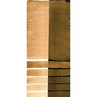 Iridescent Aztec Gold (S1) Aquarelverf Daniel Smith (Extra fine Watercolour) 5 ML Kleur 45012
