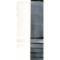 Pearlescent White (S1) Aquarelverf Daniel Smith (Extra fine Watercolour) 5 ML Kleur 45025