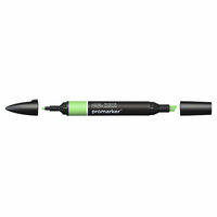 Apple ProMarker Winsor &amp; Newton Kleur G338
