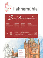 42 x 56 cm 12 vellen 300 grams Cold pressed Britannia Aquarelpapier van Hahnemuhle
