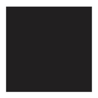 Ivoorzwart Cobra Artist watermengbare olieverf 40 ML (S 1) Kleur 701