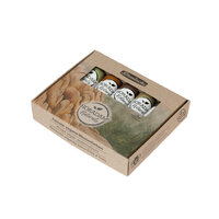 5 x 15 ML set Mineral Pigments kleuren in kartonnen doos Schmincke Horadam Naturals Aquarelverf