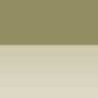 Olijfbruin / Olive Brown Caran d Ache Luminance 6901 Kleur 039