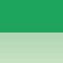 Grass Green Caran d Ache Luminance 6901 Kleur 220