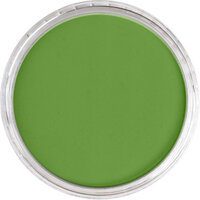 PanPastel kleur Yellow Green Shade in ronde verpakking, productfoto CF-PP26903