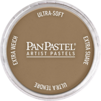 Productfoto van Raw Umber Tint van PanPastel Kleur 780.7
