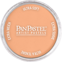 Productfoto van Burnt Sienna Light van PanPastel Kleur 740.7