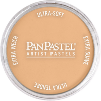 Productfoto van Raw Sienna Light van PanPastel Kleur 710.7