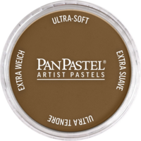 Productfoto van Raw Sienna Extra Dark van PanPastel Kleur 710.1