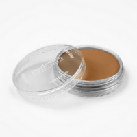Productafbeelding van Raw Sienna Shade van PanPastel Kleur 710.3