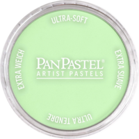 Productafbeelding van Yellow Green Tint van PanPastel Kleur 690.8