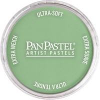 Productafbeelding van Chromium Oxide Green Light van PanPastel Kleur 660.7