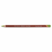 Fresh Green Drawing Pencil / Potlood van Derwent Kleur 5095