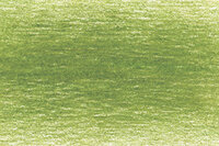 Moss Green Drawing Pencil / Potlood van Derwent Kleur 5100