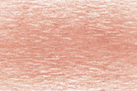 Light Rust Drawing Pencil / Potlood van Derwent Kleur 1650