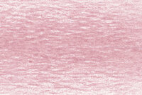 Ash Rose Drawing Pencil / Potlood van Derwent Kleur 1900