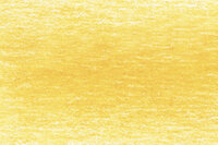 Sunflower Drawing Pencil / Potlood van Derwent Kleur 0200