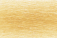 Gold Drawing Pencil / Potlood van Derwent Kleur 0400