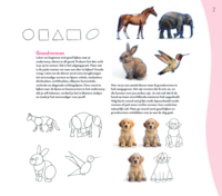 Basisboek Dieren tekenen &amp; schilderen van Julia Woning met technieken voor potlood, PanPastel, aquarel en acryl