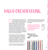 9789045331300 Voorbeelden uit het boek, waaronder de inhoudsopgave, het voorwoord 'Hallo creatieveling', theorie over