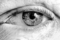 Realistic Eye, Human Eye Drawing, Fine Art, Black and White Artwork, Traditional Media, Autodidact Artist