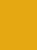 Carr&eacute; Krijt Cont&eacute; &agrave;&nbsp;Paris Gold Ochre Kleur 063