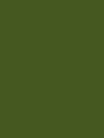 Carr&eacute; Krijt Cont&eacute; &agrave;&nbsp;Paris Chrom Ox Green Kleur 075