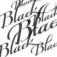 Black Calligraphy Ink van Winsor &amp; Newton 30 ML Kleur 030