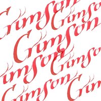 Crimson Calligraphy Ink van Winsor &amp; Newton 30 ML Kleur 203