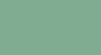 Pastelpotlood Aardegroen Faber-Castell Pitt Kleur 172