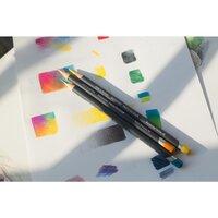 Procolour set van 12 potloden blik Derwent