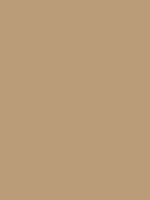Talens Amsterdam Deco relief paint Lichtgoud Kleur 802