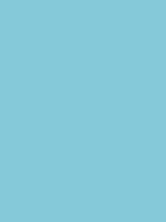 Holiday Blue - Copic Sketch Marker Kleur BG05