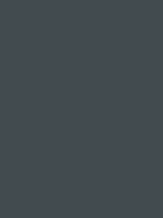 Cool Gray No.8 - Copic Sketch Marker Kleur C8