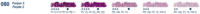 Purper 2 Purple 2 (050D) Schmincke Soft Pastel
