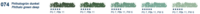 Phthalogrun dunkel Phthalo green deep (074H) Schmincke Soft Pastels