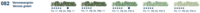 Veronesergrun Verona green (082D) Schmincke Soft Pastels