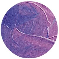 Blending Medium fluide (Slow dri ) 473 ML Liquitex