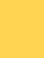 Napelsgeel Van Gogh Acrylic Colours / Acrylverf Royal Talens 40 ML Kleur 223
