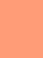 Napelsgeel rood Van Gogh Acrylic Colours / Acrylverf Royal Talens 40 ML Kleur 224