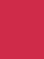 Karmijn Van Gogh Acrylic Colours / Acrylverf Royal Talens 40 ML Kleur 318