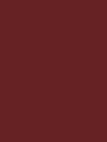 Engelsrood Van Gogh Acrylic Colours / Acrylverf Royal Talens 40 ML Kleur 339