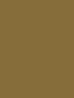Omber naturel Van Gogh Acrylic Colours / Acrylverf Royal Talens 40 ML Kleur 408