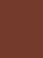 Omber gebrand Van Gogh Acrylic Colours / Acrylverf Royal Talens 40 ML Kleur 409