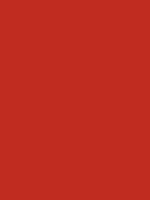 Sienna gebrand Van Gogh Acrylic Colours / Acrylverf Royal Talens 40 ML Kleur 411