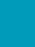 Briljantblauw Van Gogh Acrylic Colours / Acrylverf Royal Talens 40 ML Kleur 564