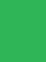 Permanentgroen licht Van Gogh Acrylic Colours / Acrylverf Royal Talens 40 ML Kleur 618