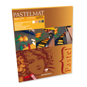 Pastelmat No 2 Pastel Papier verlijmd Donkere kleuren fijne structuur 12 vellen van Clairefontaine 360 grams 24 x 30 cm