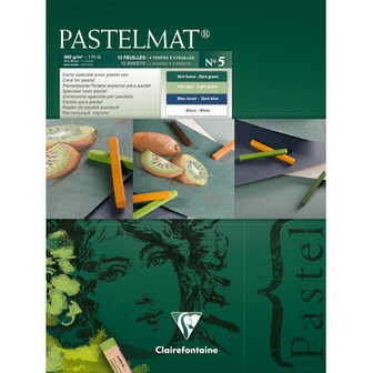 Pastelmat No 5 Pastel Papier verlijmd Groen Blauw Wit kleuren fijne structuur 12 vellen van Clairefontaine 360 grams 18 x 24 cm