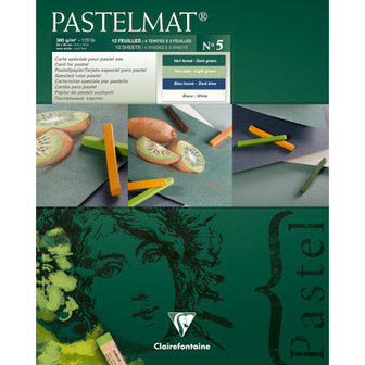 Pastelmat No 5 Pastel Papier verlijmd Groen Blauw Wit kleuren fijne structuur 12 vellen van Clairefontaine 360 grams 24 x 30 cm